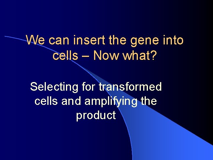 We can insert the gene into cells – Now what? Selecting for transformed cells