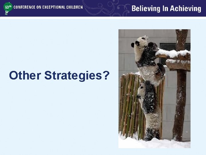 Other Strategies? 