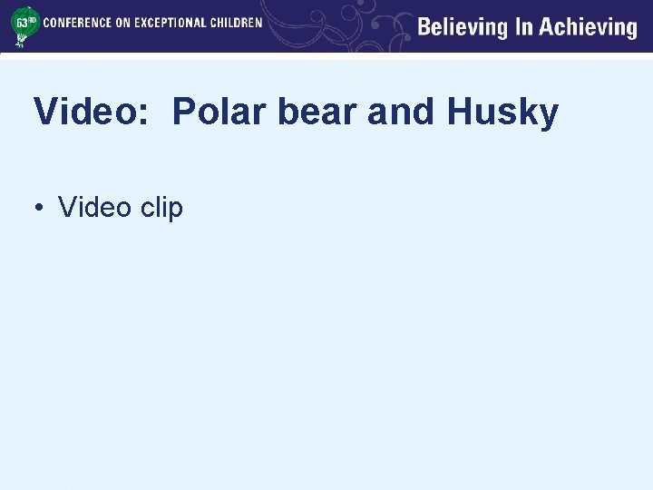 Video: Polar bear and Husky • Video clip 