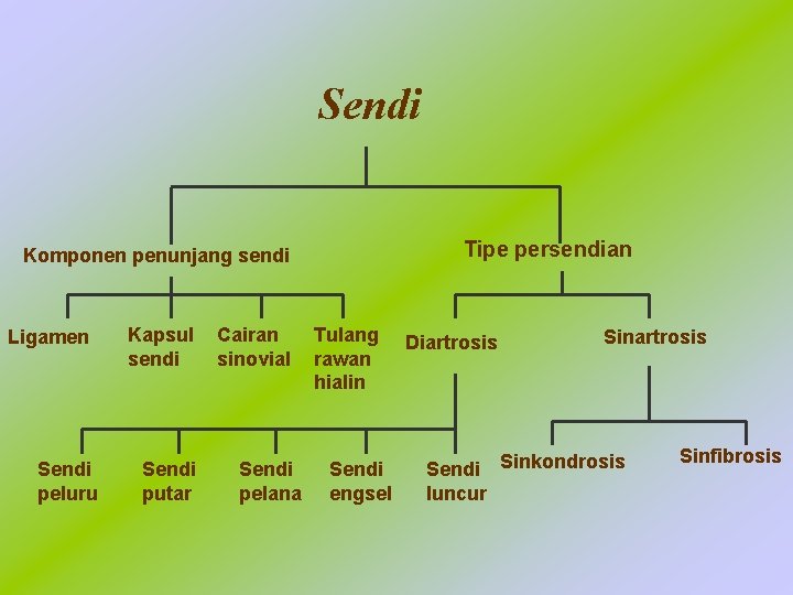 Sendi Tipe persendian Komponen penunjang sendi Ligamen Sendi peluru Kapsul sendi Sendi putar Cairan