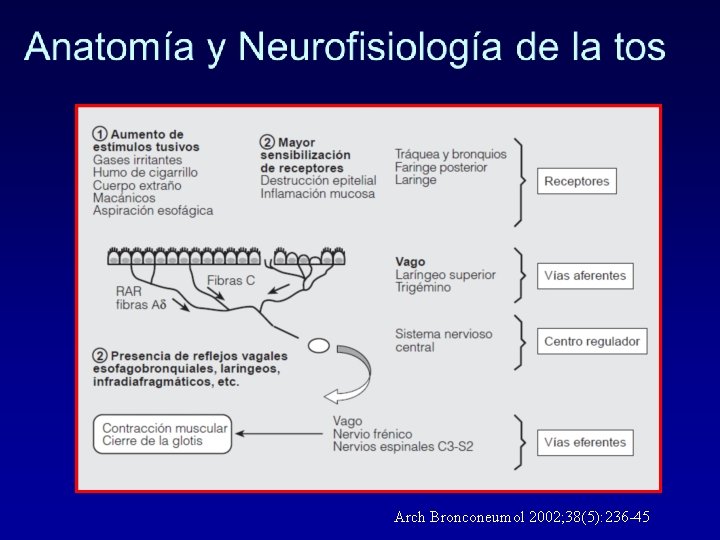 Arch Bronconeumol 2002; 38(5): 236 -45 