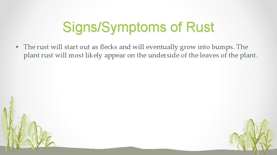 Signs/Symptoms of Rust • The rust will start out as flecks and will eventually
