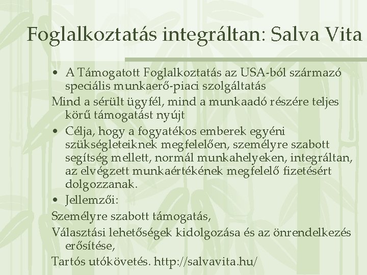 Foglalkoztatás integráltan: Salva Vita • A Támogatott Foglalkoztatás az USA-ból származó speciális munkaerő-piaci szolgáltatás