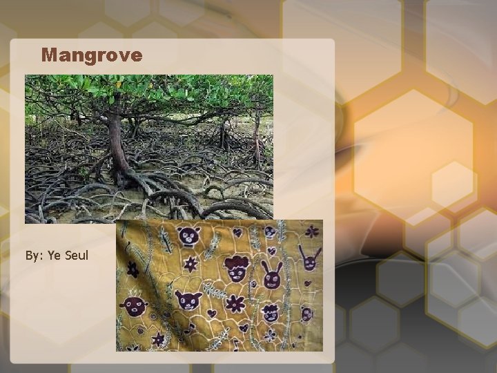 Mangrove By: Ye Seul 