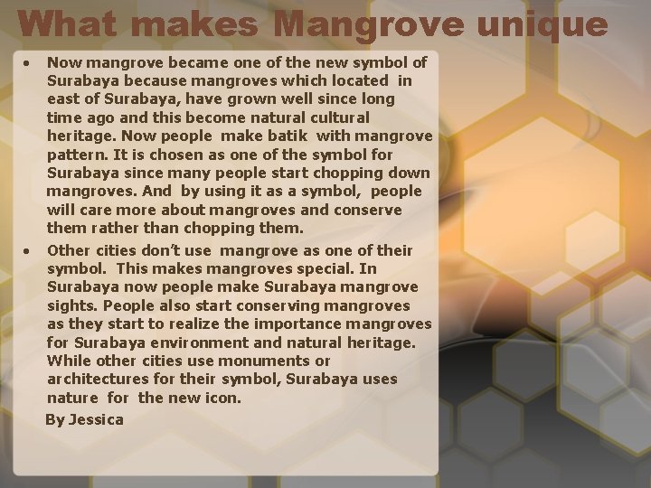 What makes Mangrove unique • Now mangrove became one of the new symbol of