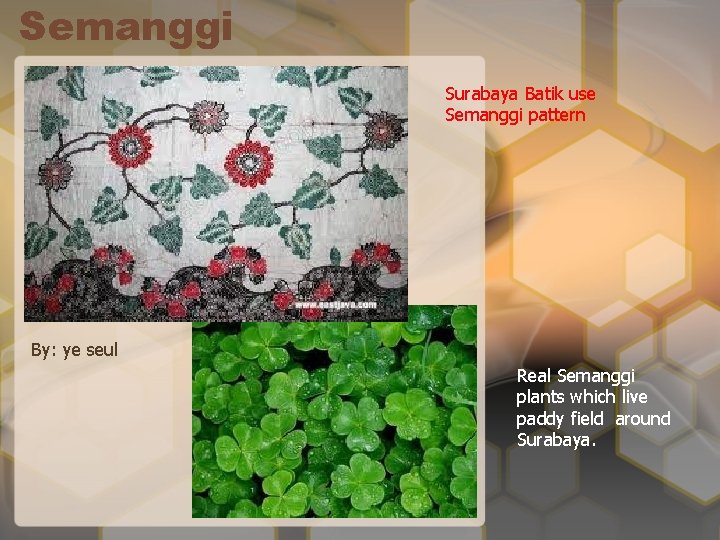 Semanggi Surabaya Batik use Semanggi pattern By: ye seul Real Semanggi plants which live