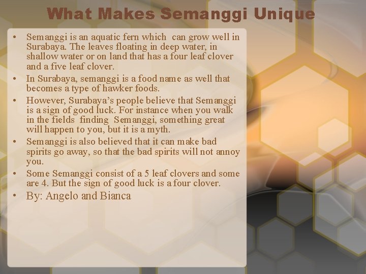 What Makes Semanggi Unique • Semanggi is an aquatic fern which can grow well