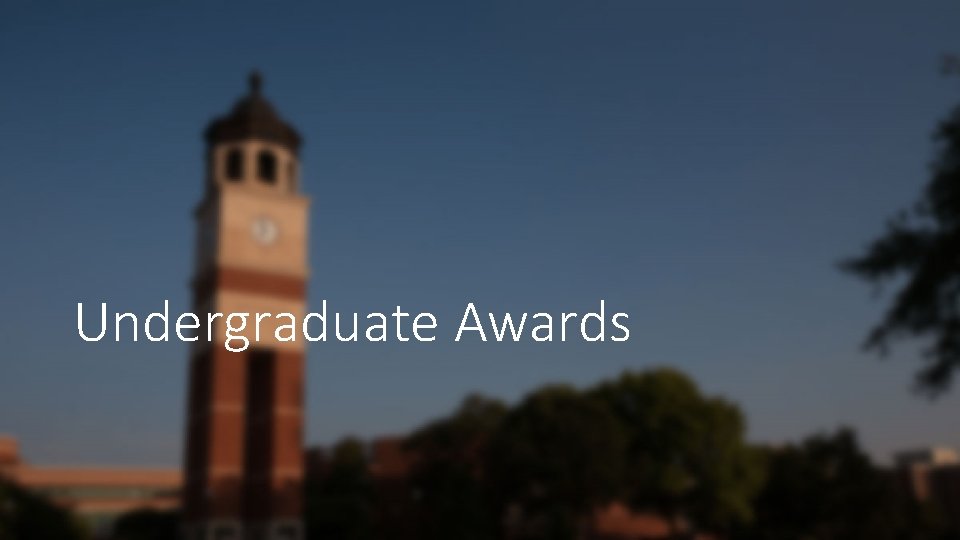 Undergraduate Awards 