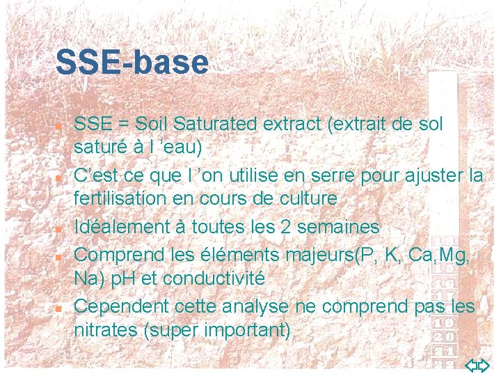 SSE-base n n n SSE = Soil Saturated extract (extrait de sol saturé à