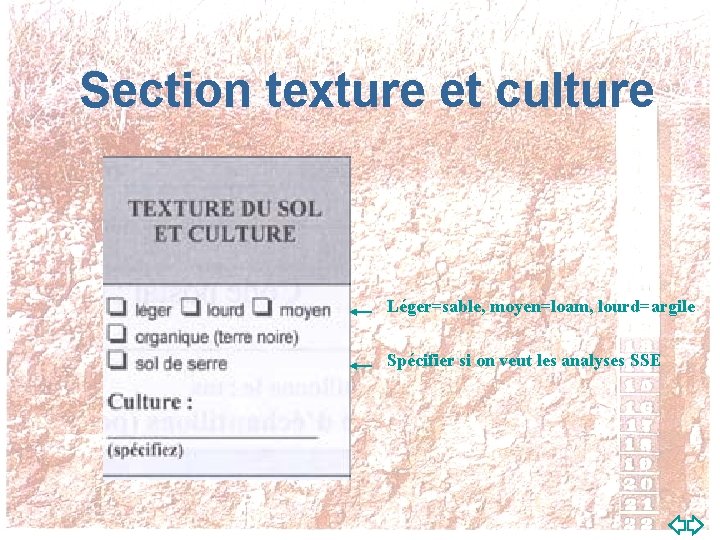 Section texture et culture Léger=sable, moyen=loam, lourd=argile Spécifier si on veut les analyses SSE