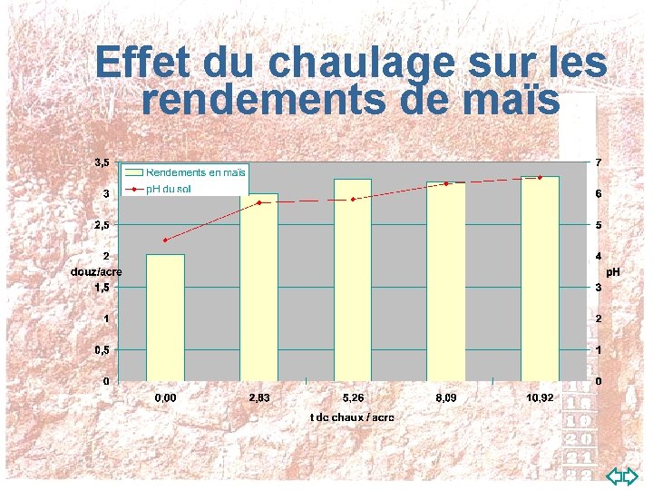 Effet du chaulage sur les rendements de maïs 