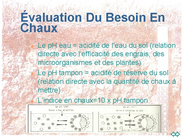 Évaluation Du Besoin En Chaux n n n Le p. H eau = acidité