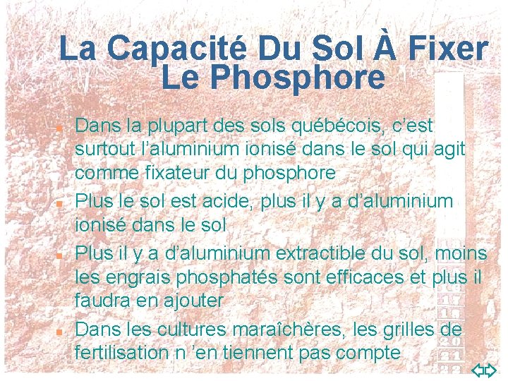 La Capacité Du Sol À Fixer Le Phosphore n n Dans la plupart des