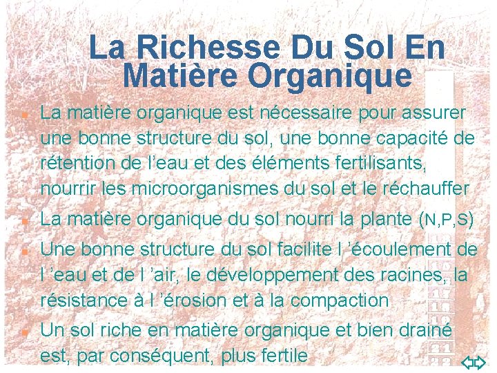 La Richesse Du Sol En Matière Organique n n La matière organique est nécessaire