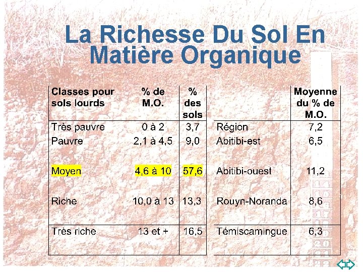 La Richesse Du Sol En Matière Organique 