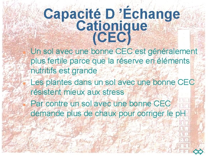 Capacité D ’Échange Cationique (CEC) n n n Un sol avec une bonne CEC