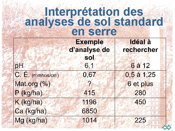 Interprétation des analyses de sol standard en serre 