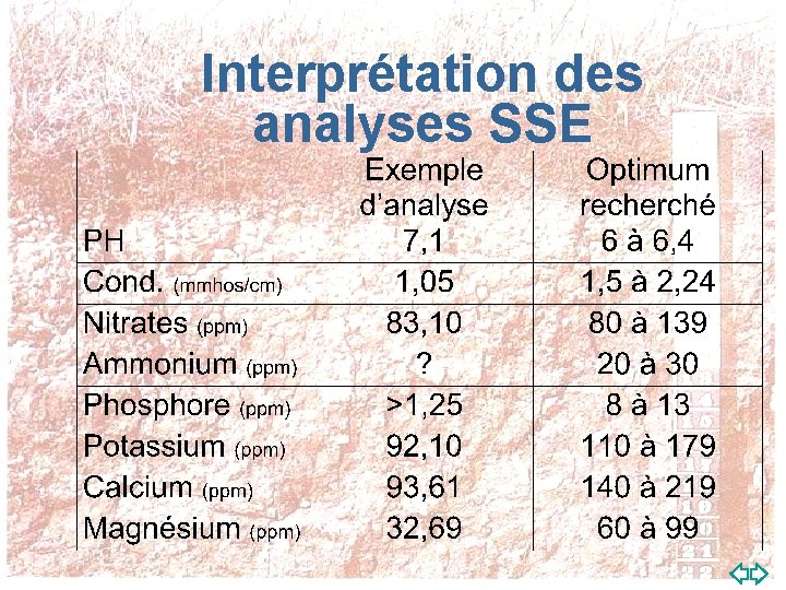 Interprétation des analyses SSE 