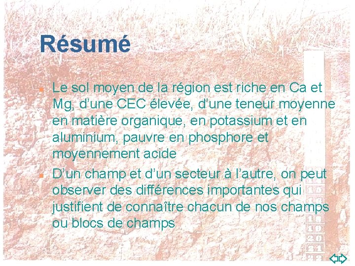 Résumé n n Le sol moyen de la région est riche en Ca et