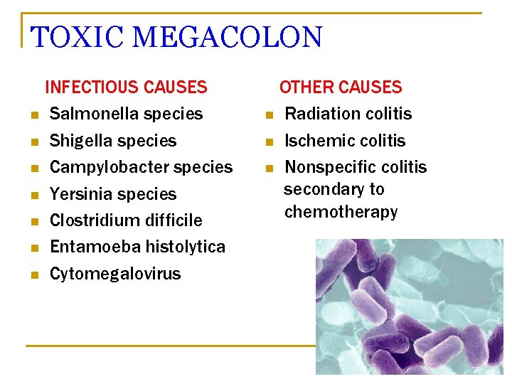 TOXIC MEGACOLON INFECTIOUS CAUSES n Salmonella species n Shigella species n Campylobacter species n