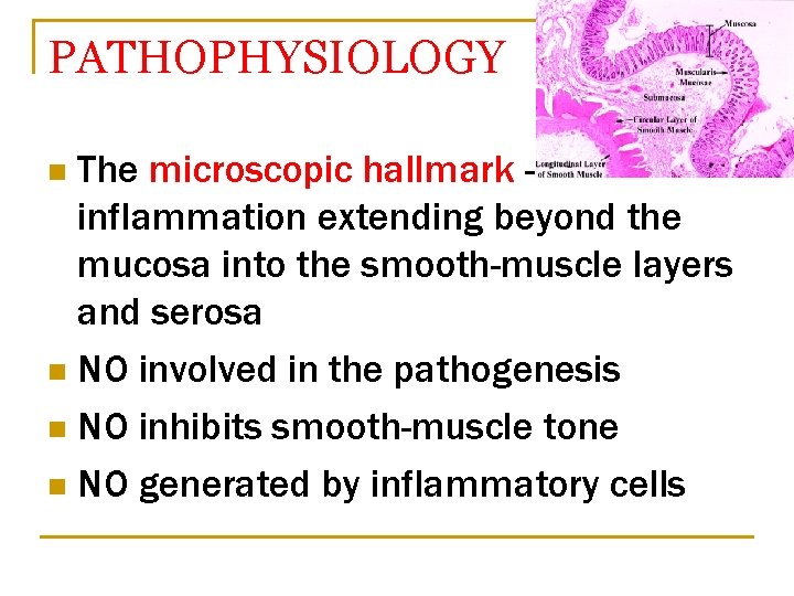 PATHOPHYSIOLOGY The microscopic hallmark inflammation extending beyond the mucosa into the smooth-muscle layers and