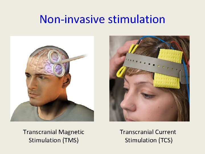 Non-invasive stimulation Transcranial Magnetic Stimulation (TMS) Transcranial Current Stimulation (TCS) Non-invasive stimulation Transcranial Magnetic Stimulation (TMS) Transcranial Current Stimulation (TCS)