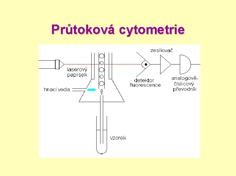 Průtoková cytometrie 