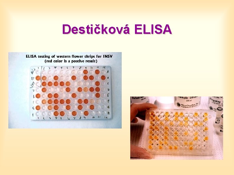 Destičková ELISA 