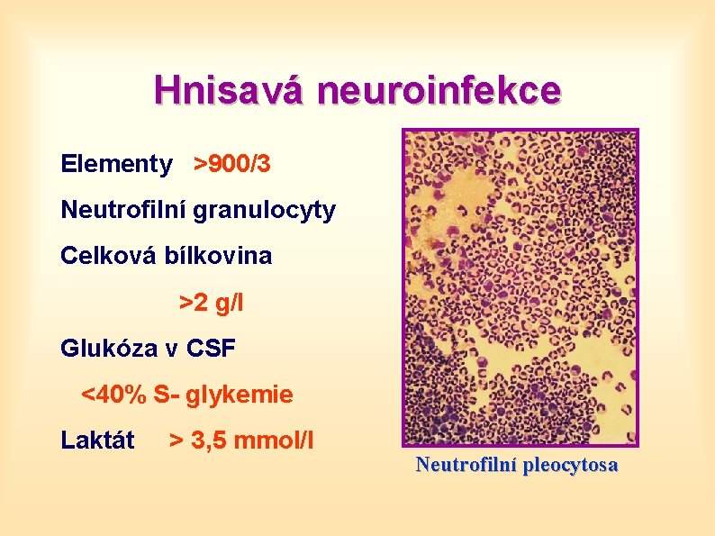 Hnisavá neuroinfekce Elementy >900/3 Neutrofilní granulocyty Celková bílkovina >2 g/l Glukóza v CSF <40%