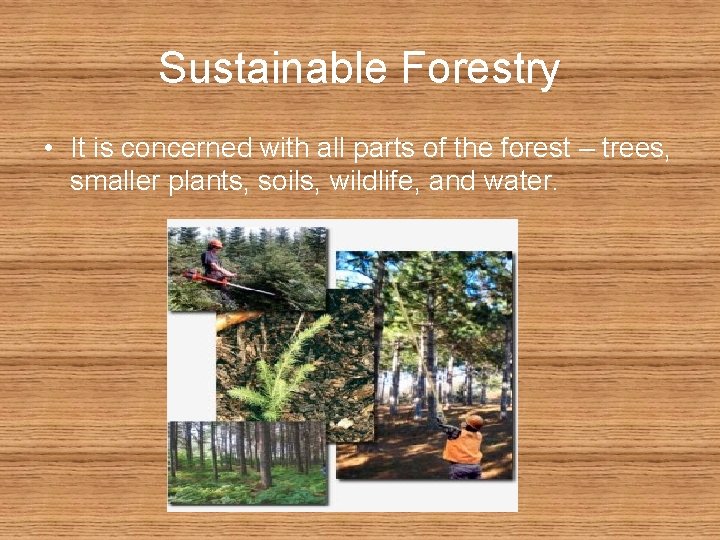 Sustainable Forestry • It is concerned with all parts of the forest – trees,
