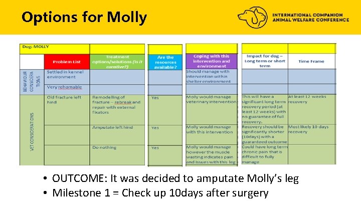 Options for Molly • OUTCOME: It was decided to amputate Molly’s leg • Milestone