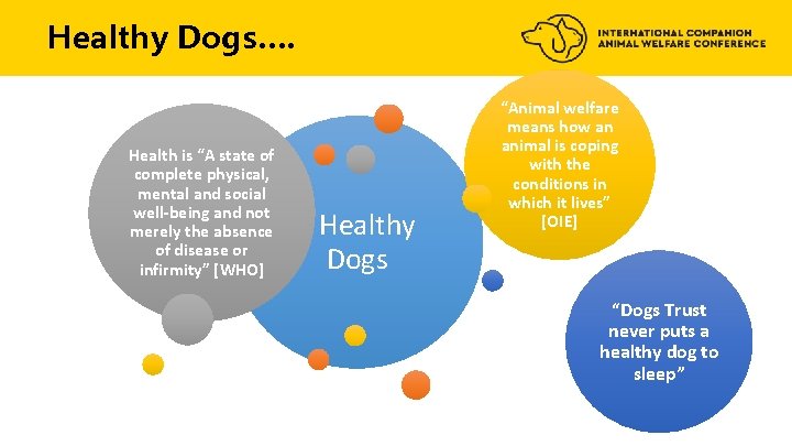 Healthy Dogs…. Health is “A state of complete physical, mental and social well-being and