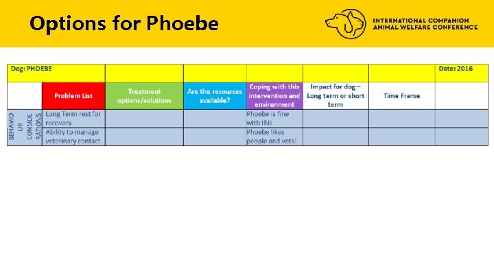 Options for Phoebe 