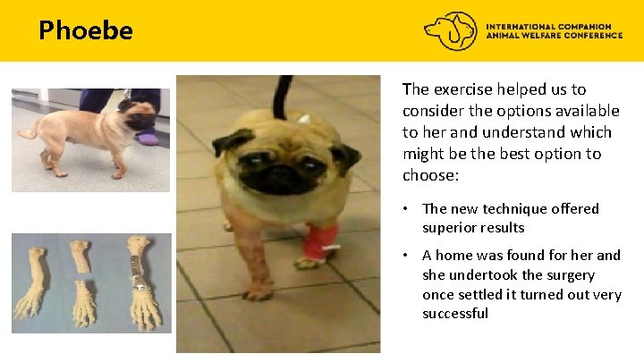 Phoebe The exercise helped us to consider the options available to her and understand