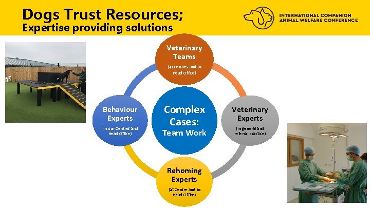 Dogs Trust Resources; Expertise providing solutions Veterinary Teams (at Centres and in Head Office)