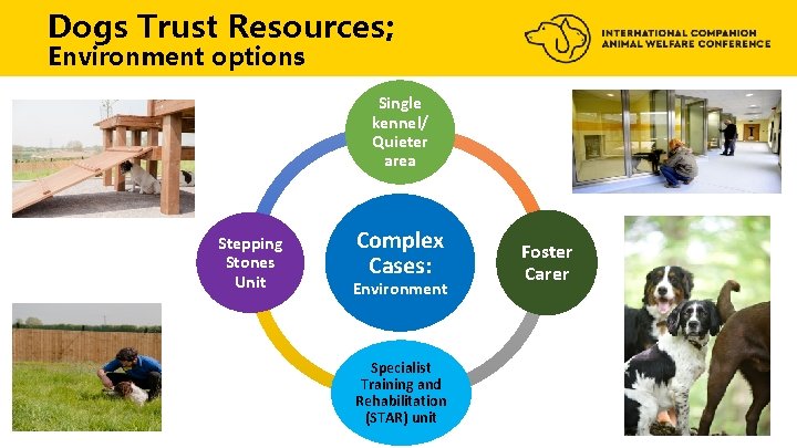 Dogs Trust Resources; Environment options Single kennel/ Quieter area Stepping Stones Unit Complex Cases: