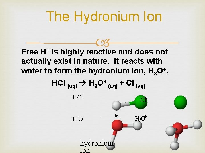 The Hydronium Ion is highly reactive and does not Free H+ actually exist in