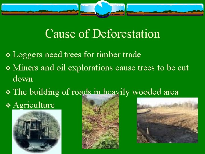 Cause of Deforestation v Loggers need trees for timber trade v Miners and oil