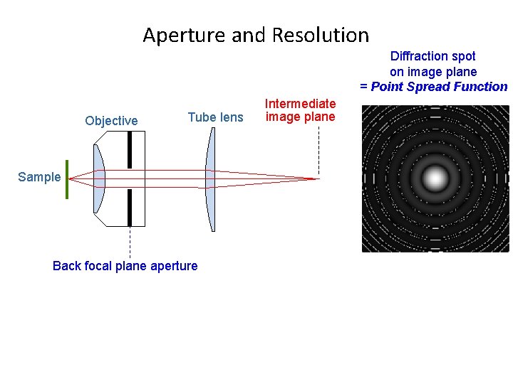 Aperture and Resolution Diffraction spot on image plane = Point Spread Function Objective Tube