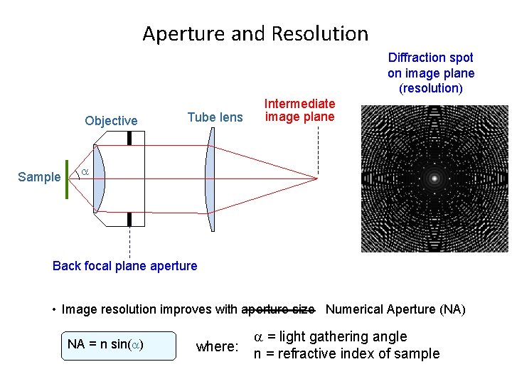 Aperture and Resolution Diffraction spot on image plane (resolution) Objective Sample Tube lens Intermediate