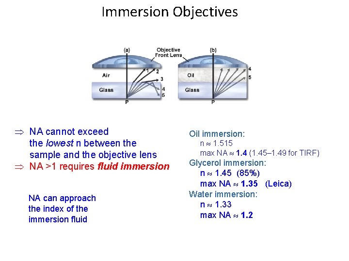 Immersion Objectives NA cannot exceed the lowest n between the sample and the objective
