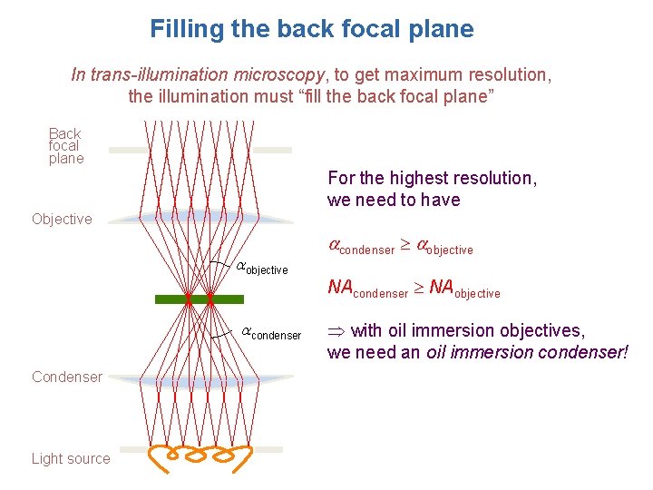 Filling the back focal plane In trans-illumination microscopy, to get maximum resolution, the illumination