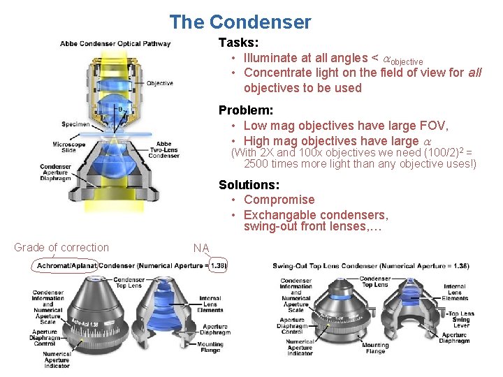 The Condenser Tasks: • Illuminate at all angles < objective • Concentrate light on