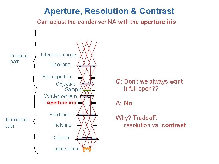 Aperture, Resolution & Contrast Can adjust the condenser NA with the aperture iris Imaging
