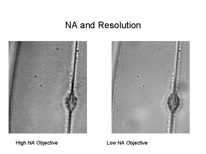 NA and Resolution High NA Objective Low NA Objective 