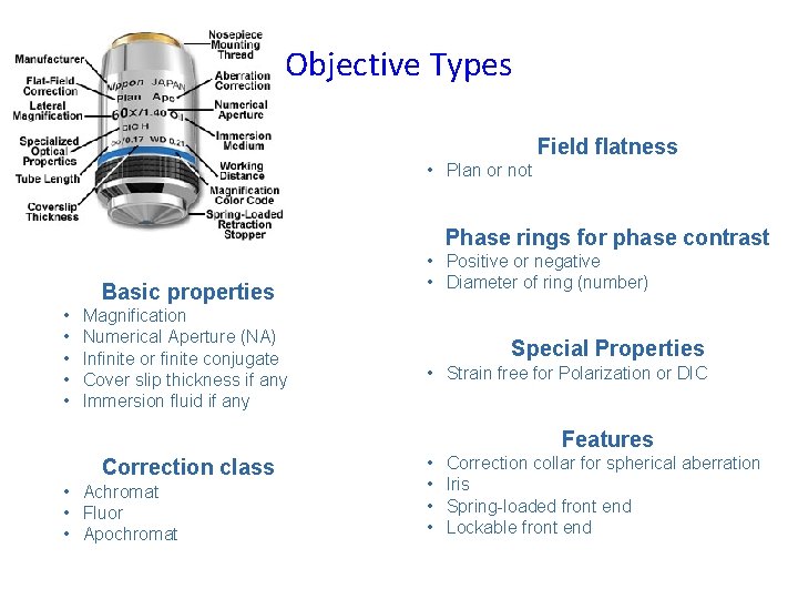 Objective Types Field flatness • Plan or not Phase rings for phase contrast Basic