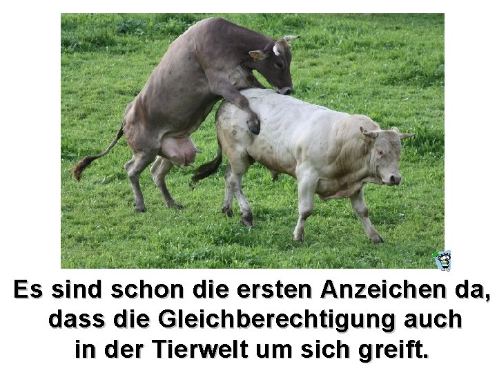 Es sind schon die ersten Anzeichen da, dass die Gleichberechtigung auch in der Tierwelt