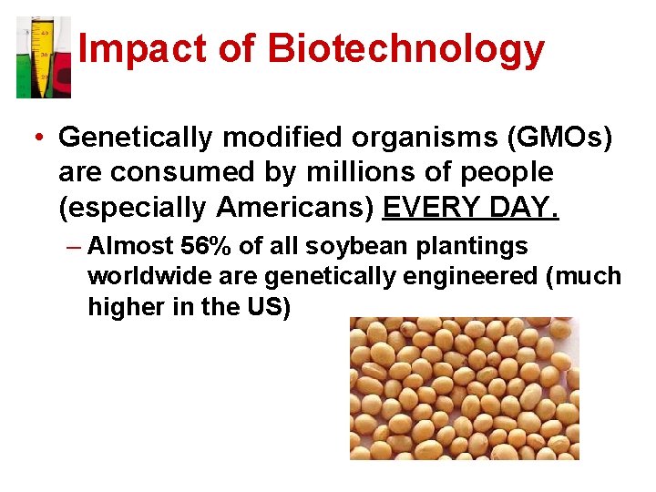 Impact of Biotechnology • Genetically modified organisms (GMOs) are consumed by millions of people