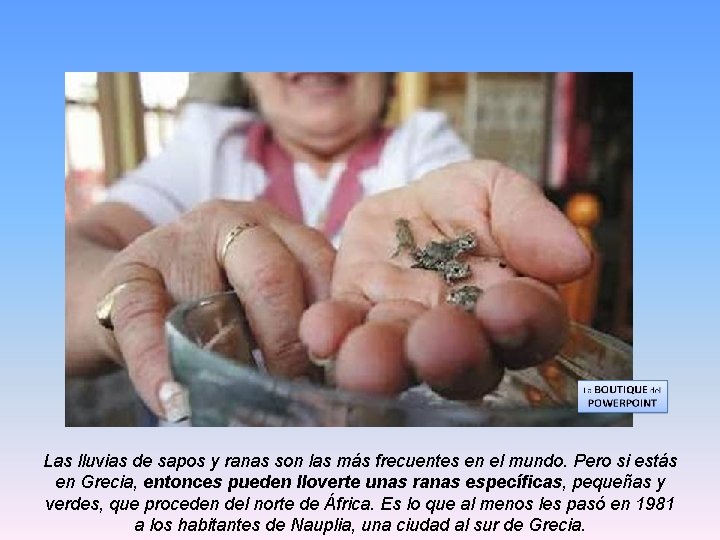 Las lluvias de sapos y ranas son las más frecuentes en el mundo. Pero