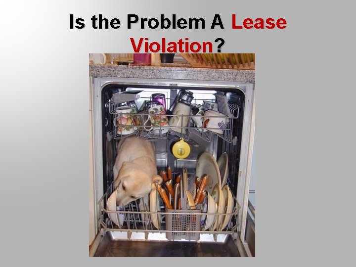 Is the Problem A Lease Violation? 